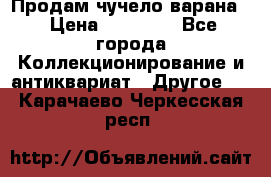 Продам чучело варана. › Цена ­ 15 000 - Все города Коллекционирование и антиквариат » Другое   . Карачаево-Черкесская респ.